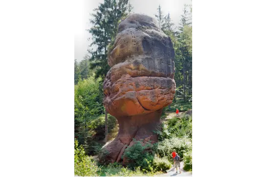 Kelchsteine an der Passstraße nach Lückendorf